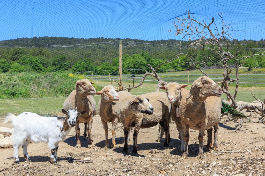 فيلا Lou Mas Li Pitchoun "Le Luberon " جورد المظهر الخارجي الصورة