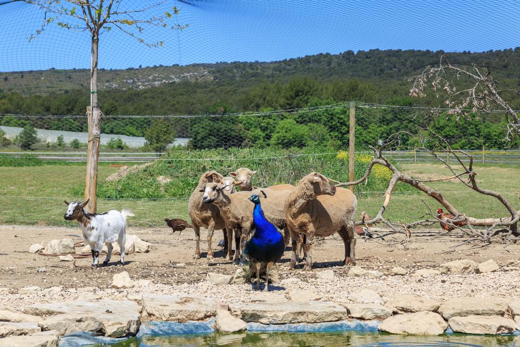 فيلا Lou Mas Li Pitchoun "Le Luberon " جورد المظهر الخارجي الصورة